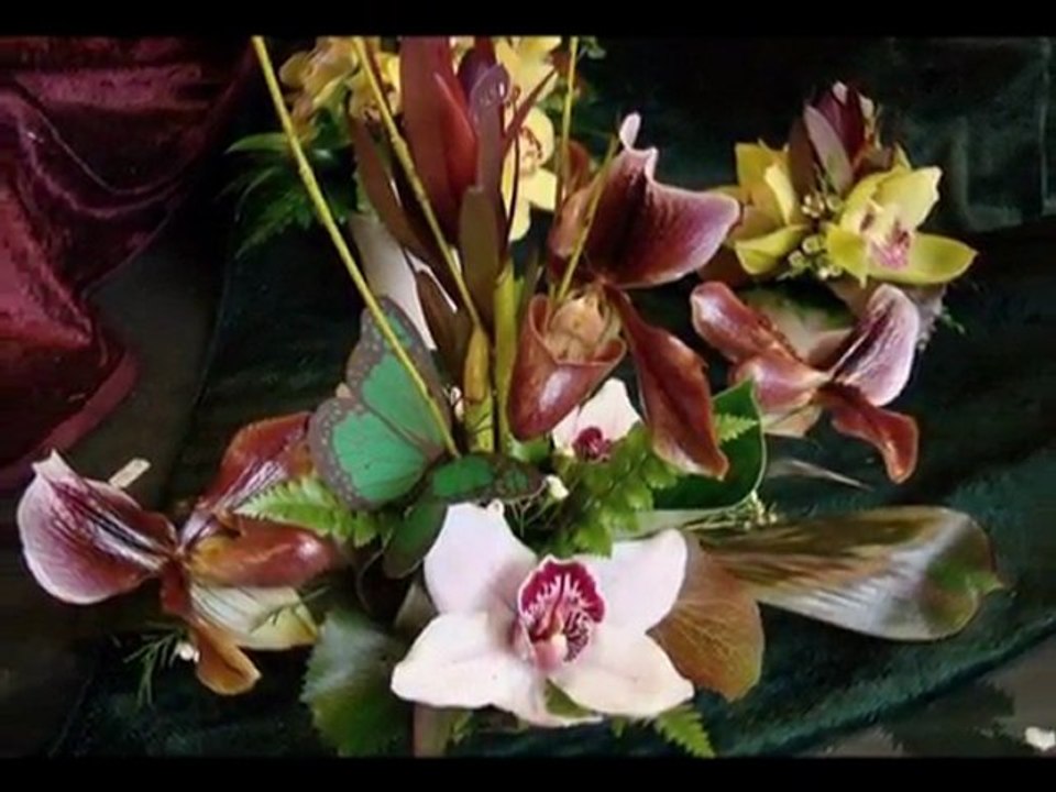 Splendeur  des Fleurs