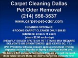 Dallas pet odor carpet cleaning Carpet Cleaning And How It H
