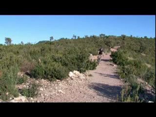 Cross country VTT. 8XC