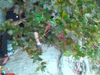 Artif Moniteur 2010 FFME