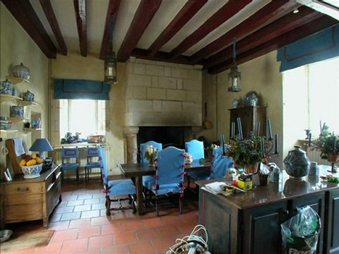 VENTE CHATEAU TOURAINE 16E 17E SIECLES TERRAIN DEPENDANCES