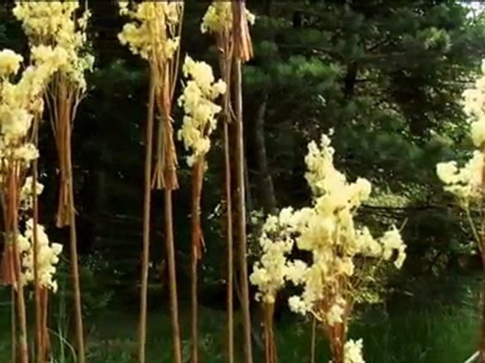 Champagne Nicolas Feuillatte