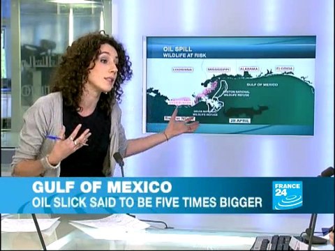 Gulf of Mexico: Oil slick threatening Wildlife