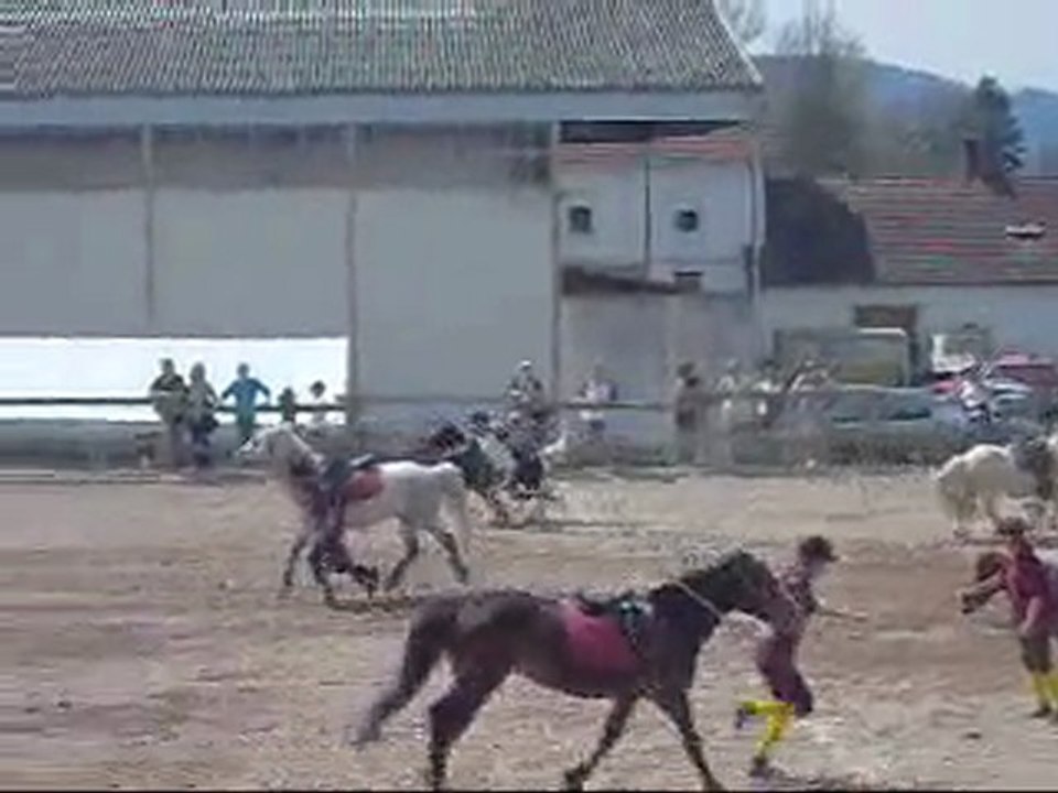 a terre a cheval 25 avril Wap Wap