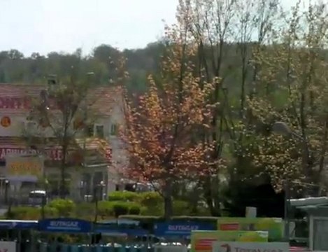 Y a-t-il trop de pubs en Brie ?