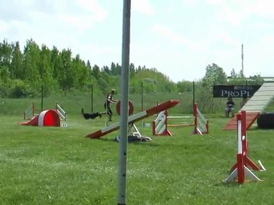 Tao Agility Sélectif GPF Auch 2010