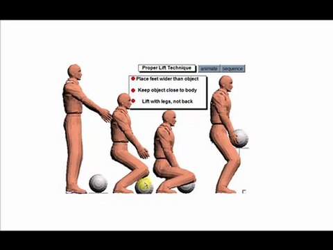 Proper Lifting Technique Charlotte Chiropractor