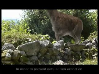 L'histoire du Dahu