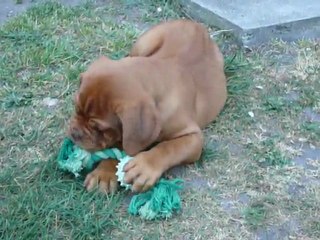 Ferne de la Tour Gelée.