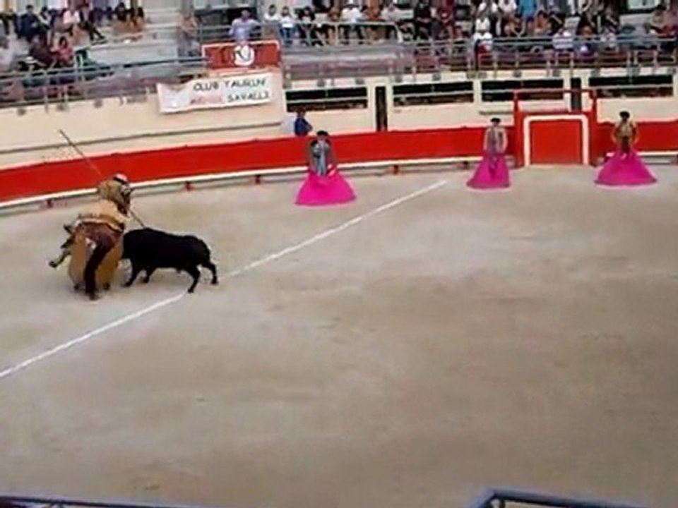 Corrida de Prieto de la Cal: Magnifiques piques au 5e toro