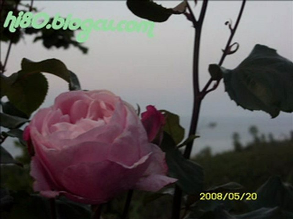 Ömer Faruk Tekbilek - Belalım