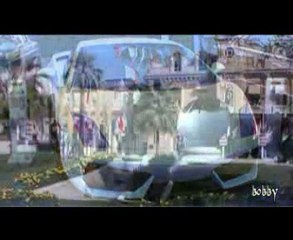 couches d'ozone jardin japonais