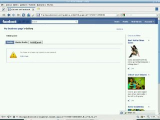 Picasa Web Albums on facebook business page