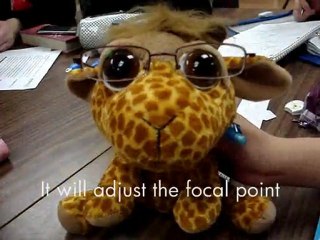 Bio, physics, and lenses