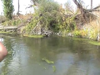 Drahthaar Rita Su Aportu Çalışması