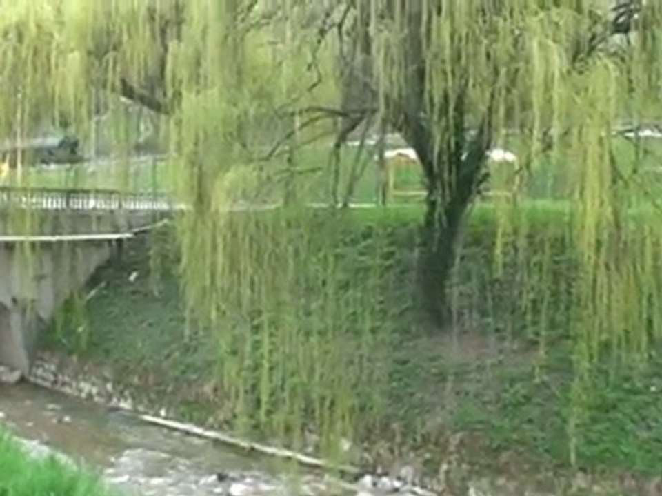 VOYAGE EN SLOVENIE 2010