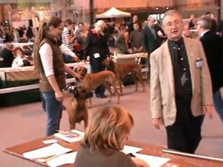 Shangani Bacchus Ridgy on Show in Colmar 2010