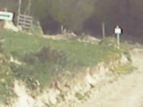 saut à l'élastique thiembronne 2010