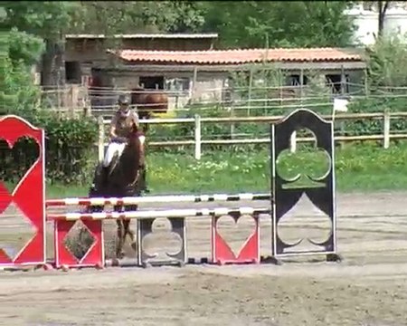 rolls en jeunes chevaux 5ans 2em année