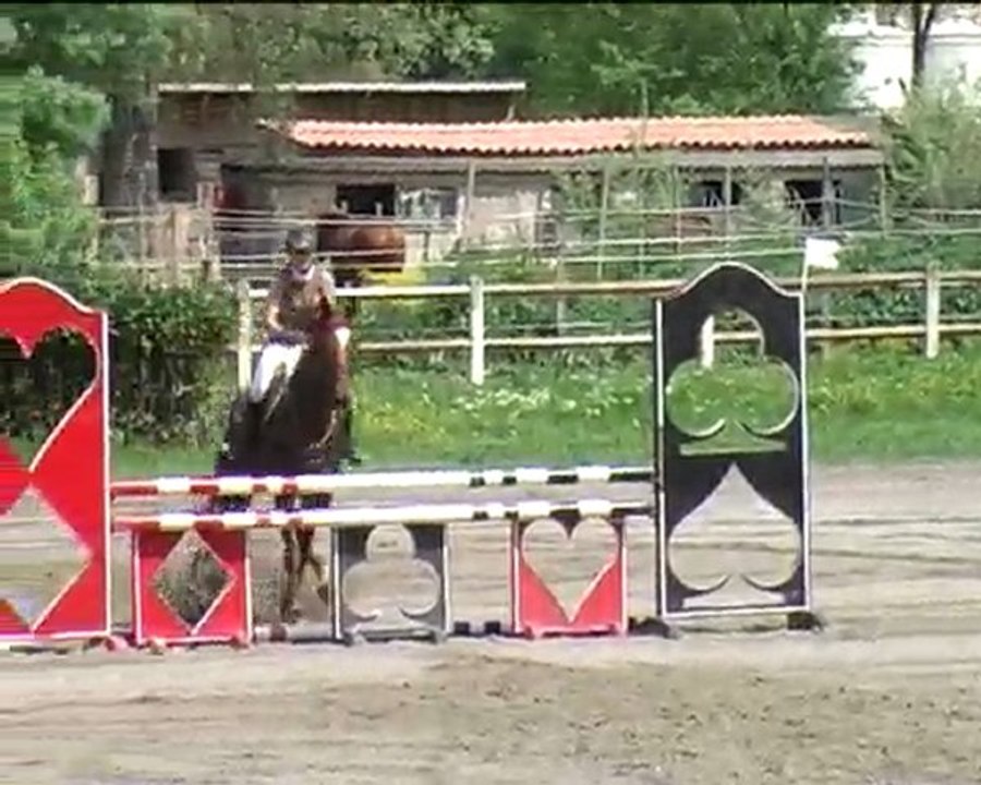 rolls en jeunes chevaux 5ans 2em année
