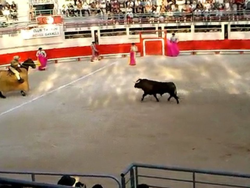 Corrida de Prieto de la Cal: Piques 6e toro