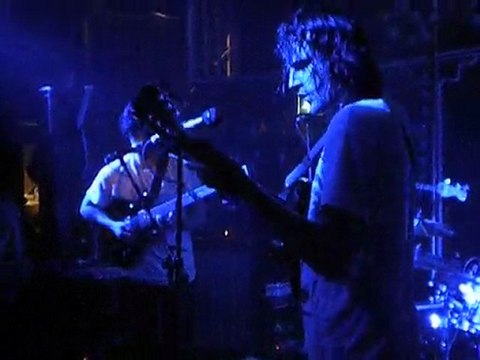 foals spanish sahara