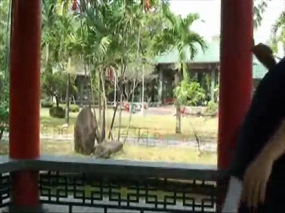 bahad zubu - gm yuli romo