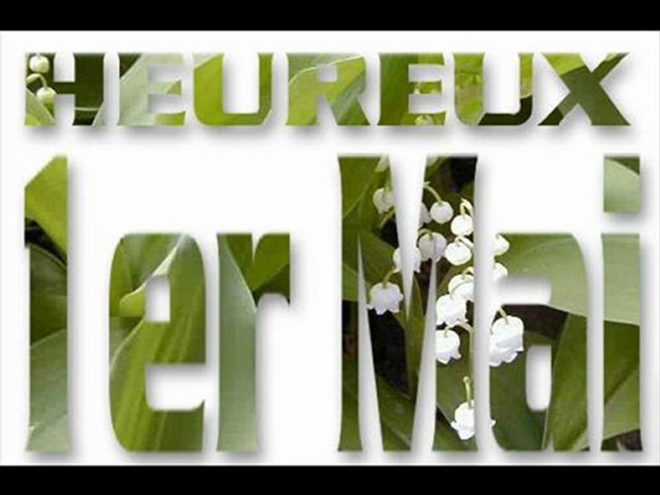 1er MAI joyeux anniversaire Lauren