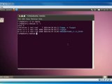 Installing VirtualBox Additions With Ubuntu 10.04