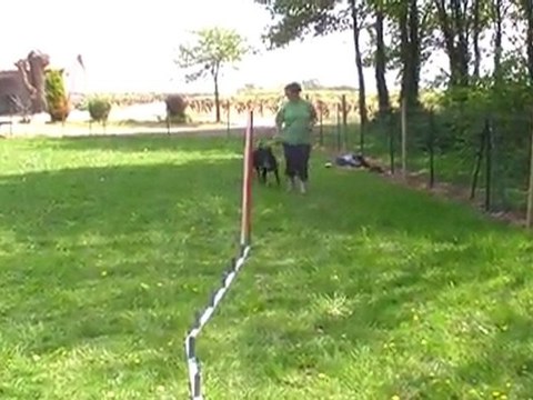 Slalom Couloir Dillo : première fois avec un VRAI piquet !