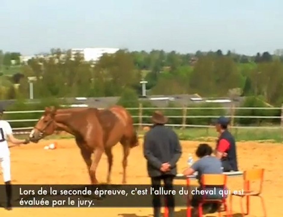 Concours équestre Label loisirs au Cateau