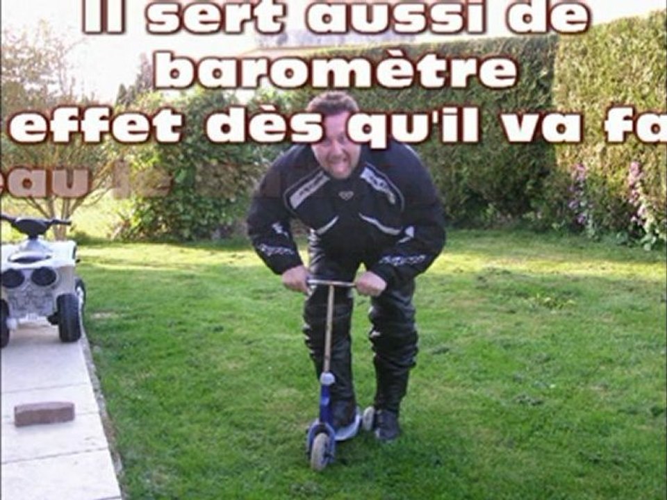 badboy