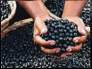 Ladies! Lose weight fast for Summer w Acai Trim - not a sca