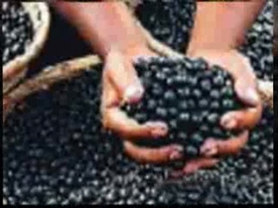 Ladies! Lose weight fast for Summer w Acai Trim - not a sca