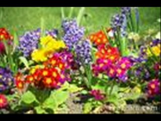 In The Merry Month Of Maybe-Frank Auburn Orchestra