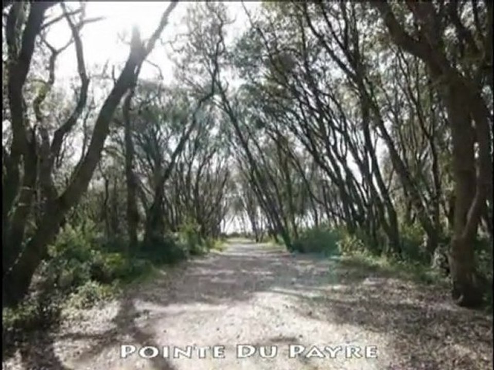 Jard sur Mer - Vendée