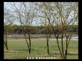 Marais - champs et champs de Colza Vendéen