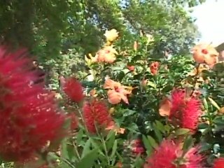 Les Floralies de Château Campuget (Manduel)