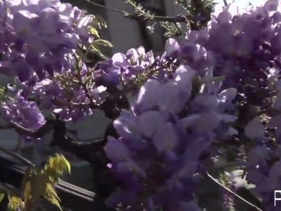 Parlons jardinage