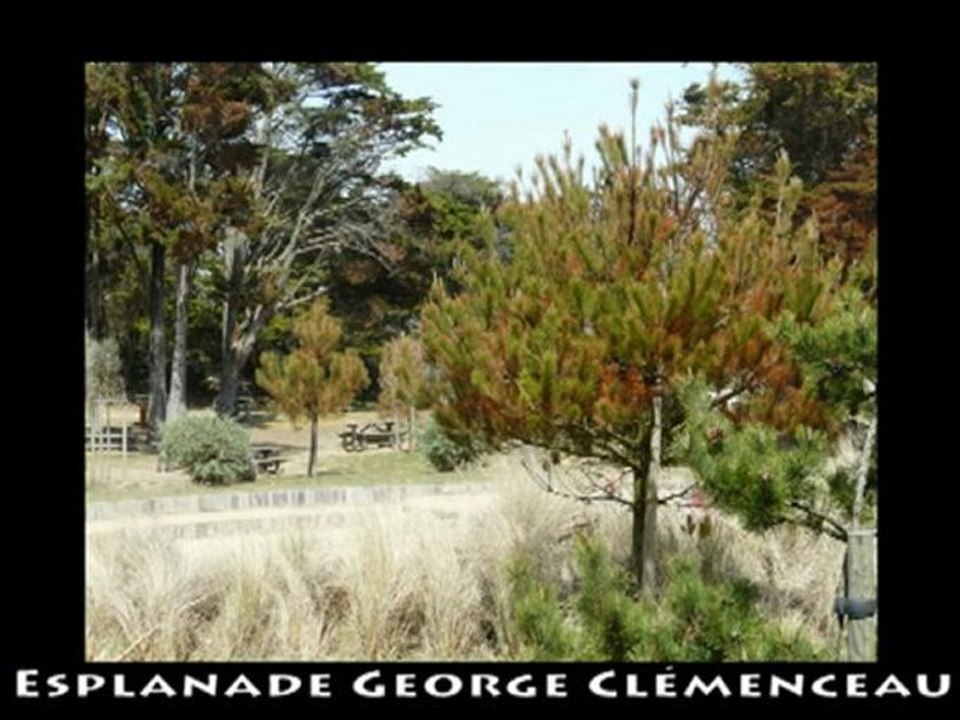 Saint Vincent sur Jard - Vendée