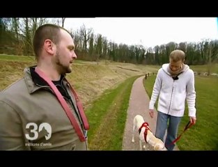 Promener son chien sans laisse