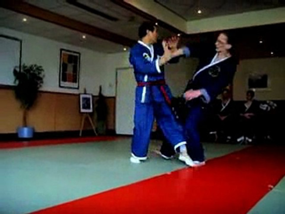 Séminaire Jungki Kwan Hapkido 20-25 mars 2010 - CHOI Yong-Sul orthodox HAPKIDO