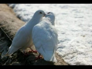 ANISI BİZ OLALIM BU SOKAKLARIN