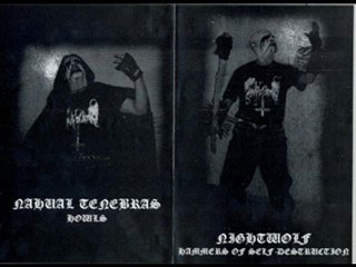 Lupus Nocturnus - Dying On the White Mountain