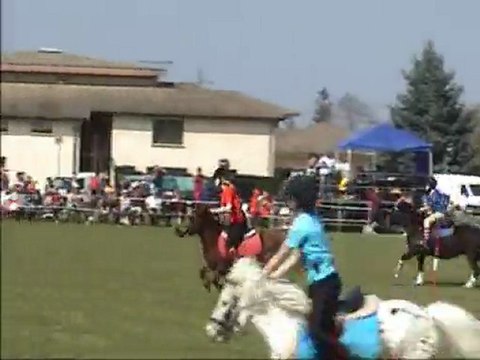 Peter Dale 2010 Tignieu Manche 2 Minis Poitou Charentes