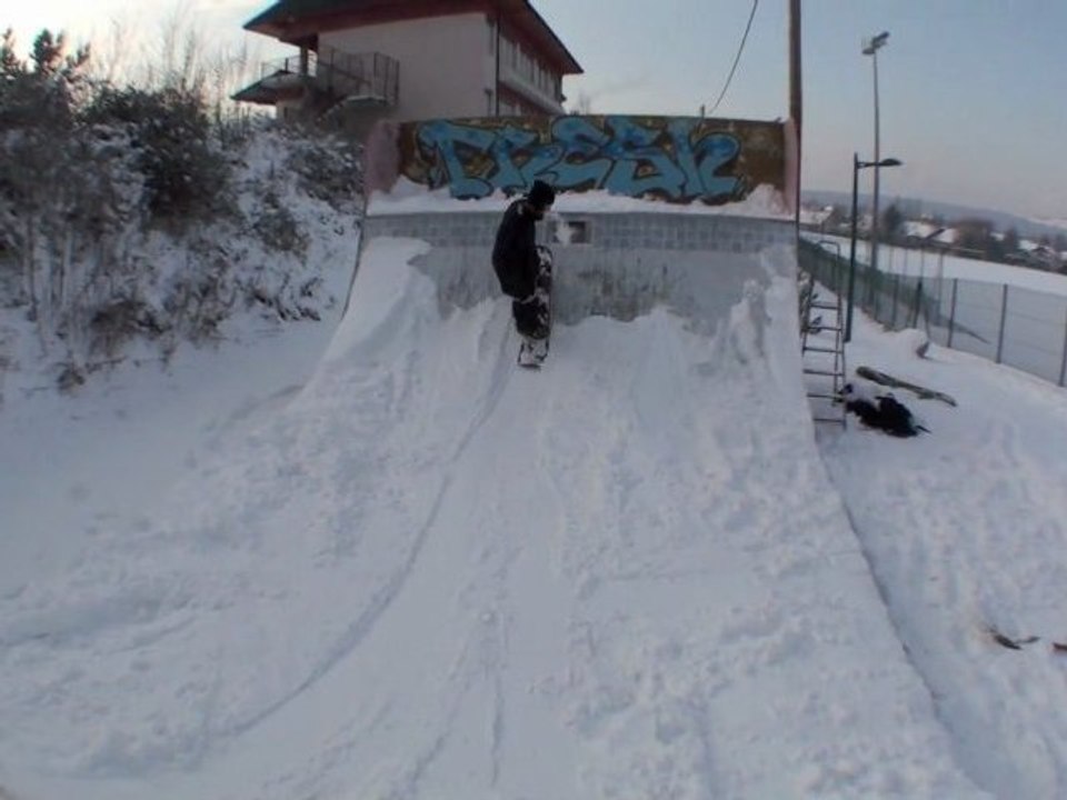 GRAPIN 2010