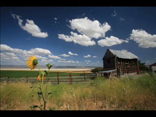 Max Guidetti "Teorema Clint Eastwood"
