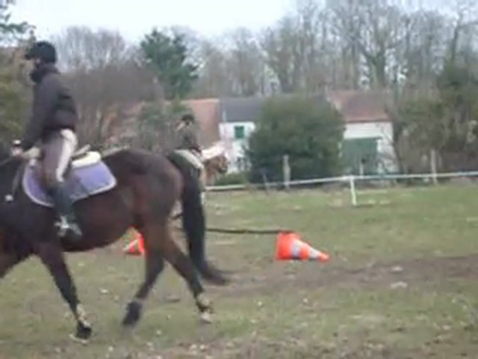 Saut d'obstacle Plume