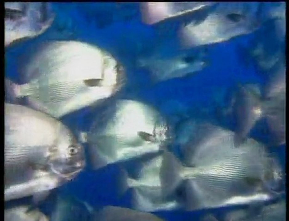 4ème rencontre internationale du réseau océan mondial