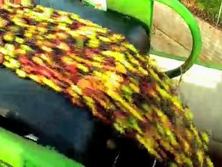 5. Las Valdesas. Aceite de oliva virgen extra. Al molino